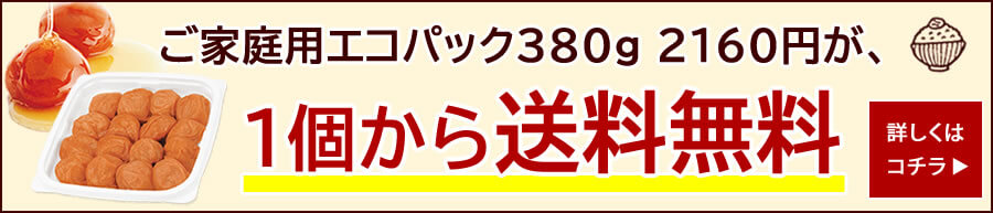 冬キャンペーン