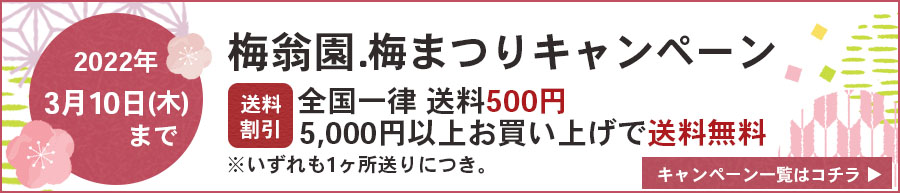 お得パック梅干580g