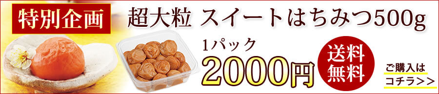 スイートはちみつ500g