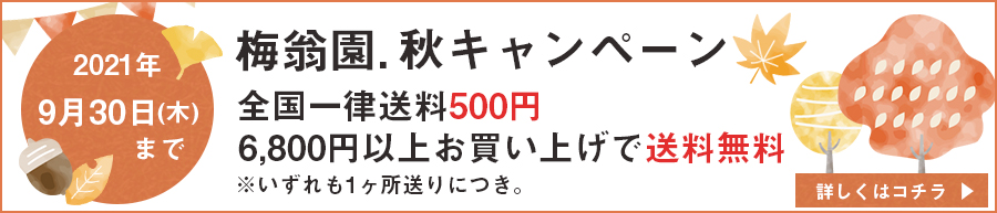 秋キャンペーン