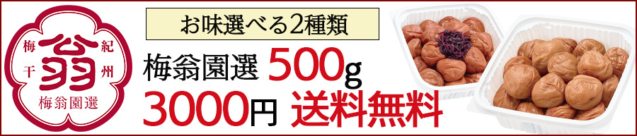 梅翁園選500g