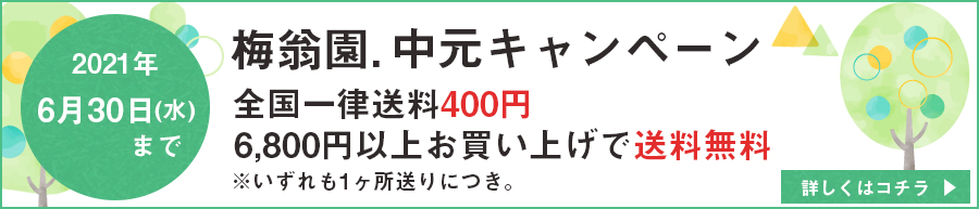 中元キャンペーン