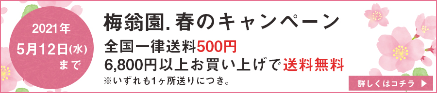 春キャンペーン