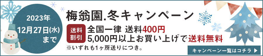 冬キャンペーン