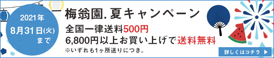 夏キャンペーン