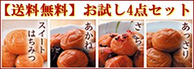 【送料無料】お試し4点セット
