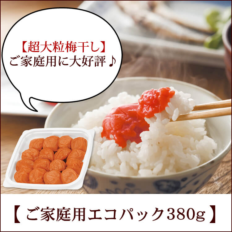 完熟 紀州 南高梅 梅酒｜梅酒の通販は梅翁園．（ばいおうえん）