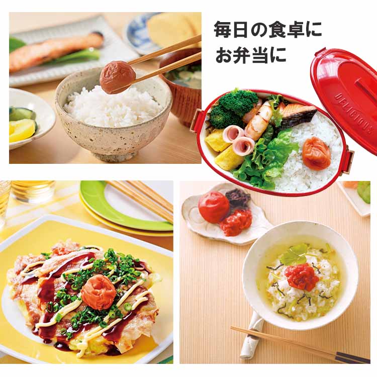 ご家庭用エコパック500g