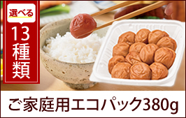 家庭用エコパック380g