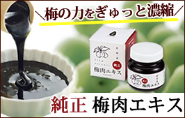 梅肉エキス