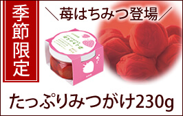みつがけいちご梅230g