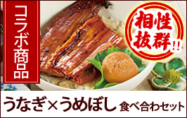 うなぎ×うめぼし食べ合わセット
