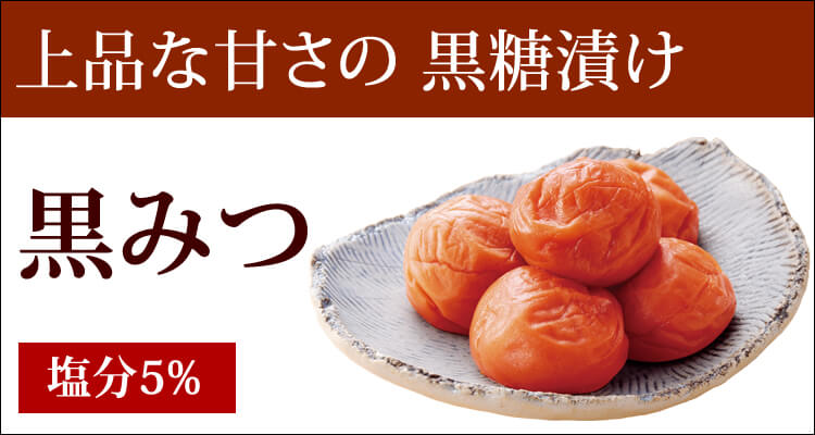 紀州梅干 ご家庭用エコパック 商品一覧|梅干し・紀州 梅干 の通販は梅翁園.(ばいおうえん) 紀州梅干 ご家庭用エコパック 商品一覧|梅干し・紀州 梅干 の通販は梅翁園.(ばいおうえん)