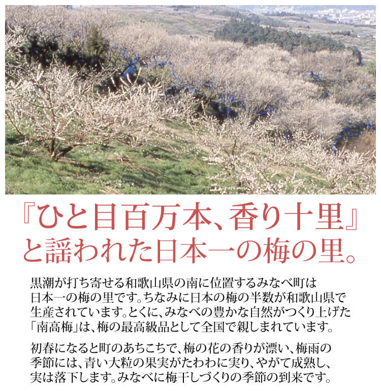 梅翁園.のこだわり