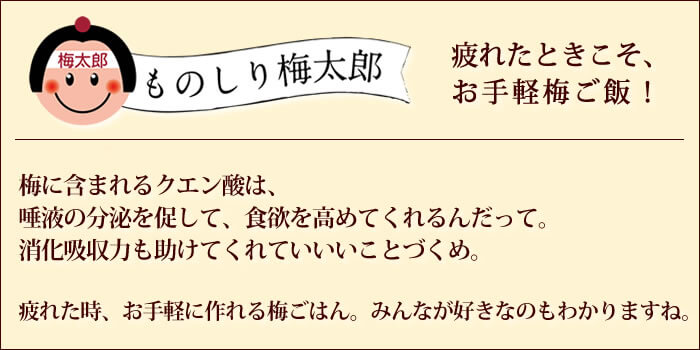 梅干しとご飯で簡単おいしい