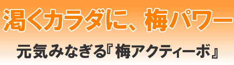 渇くカラダに、新発売！元気みなぎる『梅アクティーボ』