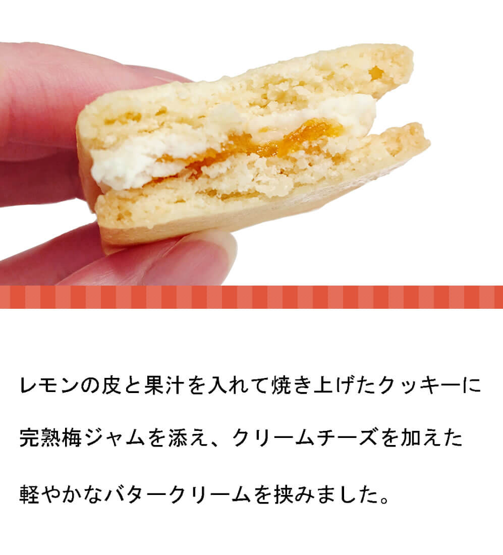 爽やかクリームの梅ジャムサンド 完熟南高梅を使った手作りお菓子 梅翁園 ママ工房 爽やかクリームの梅ジャムサンド 完熟南高梅を使った手作りお菓子 梅翁園 ママ工房