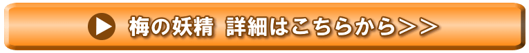 今すぐ購入する
