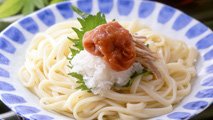 梅干の梅翁園・梅干紀州南高梅干・梅干料理　梅うどん