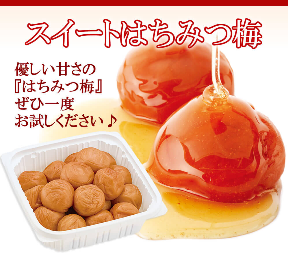 初回限定!送料無料お試し スイートはちみつ 500g