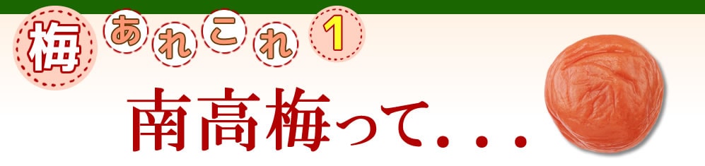 梅あれこれ　南高梅って