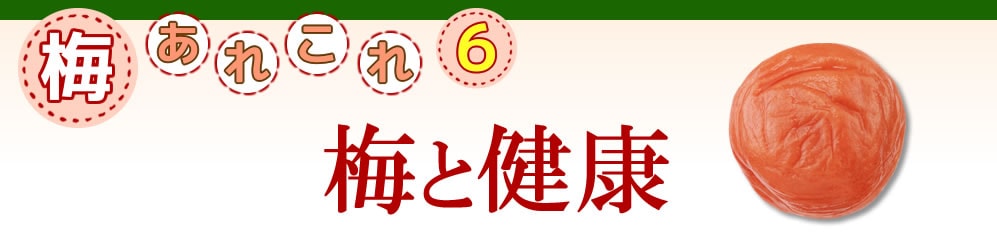 梅あれこれ　梅と健康