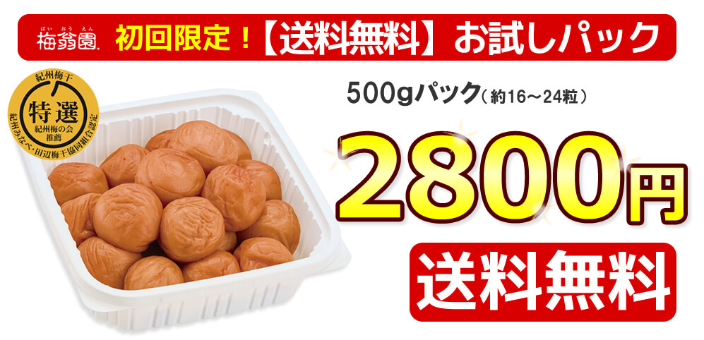 初回限定!送料無料お試し スイートはちみつ 500g