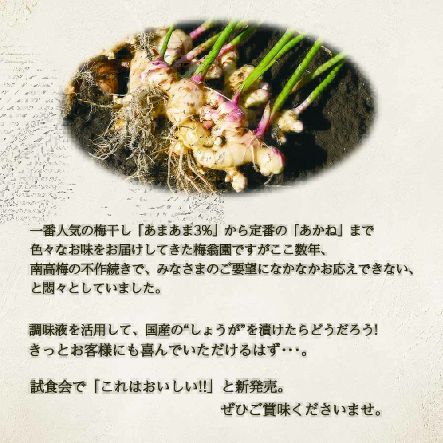 あかね しょうが