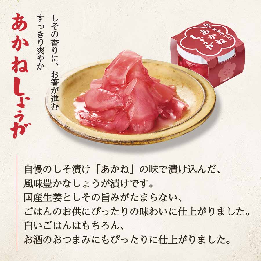 あかね しょうが