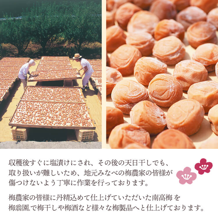 スイートはちみつ