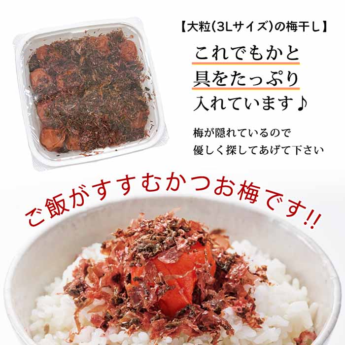 さち　ご家庭用エコパック380g