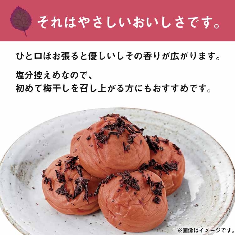 ゆうか　ご家庭用エコパック380g