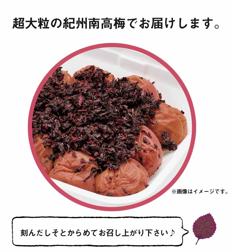 ゆうか　ご家庭用エコパック380g