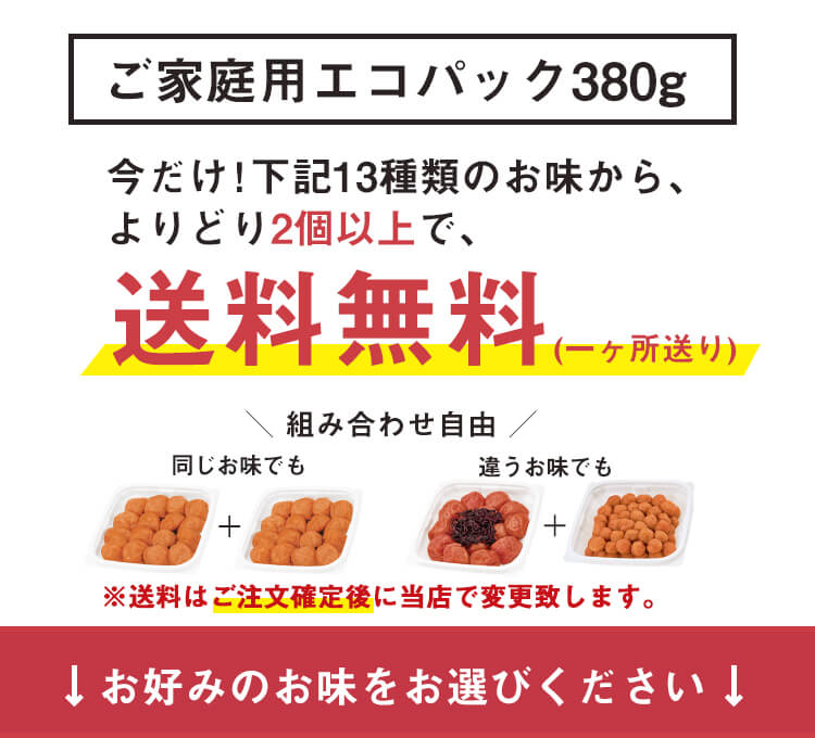 ご家庭用エコパック380g