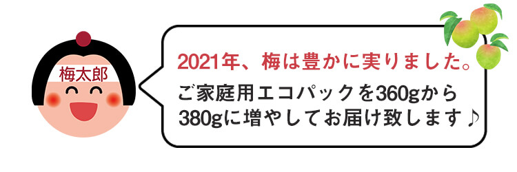 ご家庭用エコパック380g