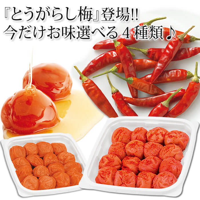 料理にも♪梅干しでアレンジいろいろ!ご家庭用エコパック380g