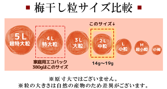 新登場 パクパクパック